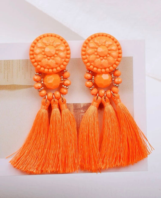 Tassel Drop Earrings